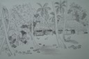 Bora Bora 1 (Pen & Ink) 1963