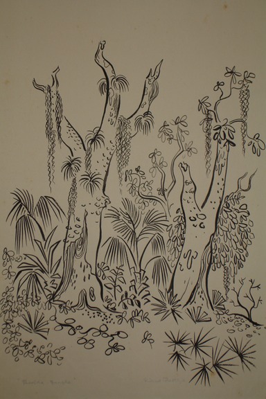 Florida Jungle (Watercolor) 1940-50's