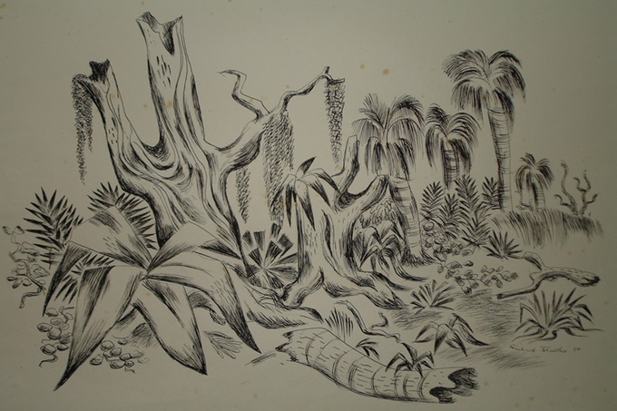 Seaside Jungle (Pen & Ink ) 1950